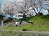 DSCN0056