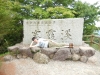 DSCN4496