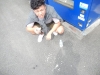 DSCN4665