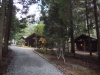 DSCN5895