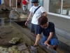 DSCN5963