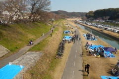 DSCN6248