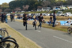DSCN6252