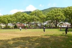 DSCN6485
