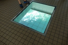 DSCN6723