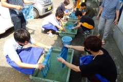 DSCN6745