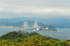 DSCN6770
